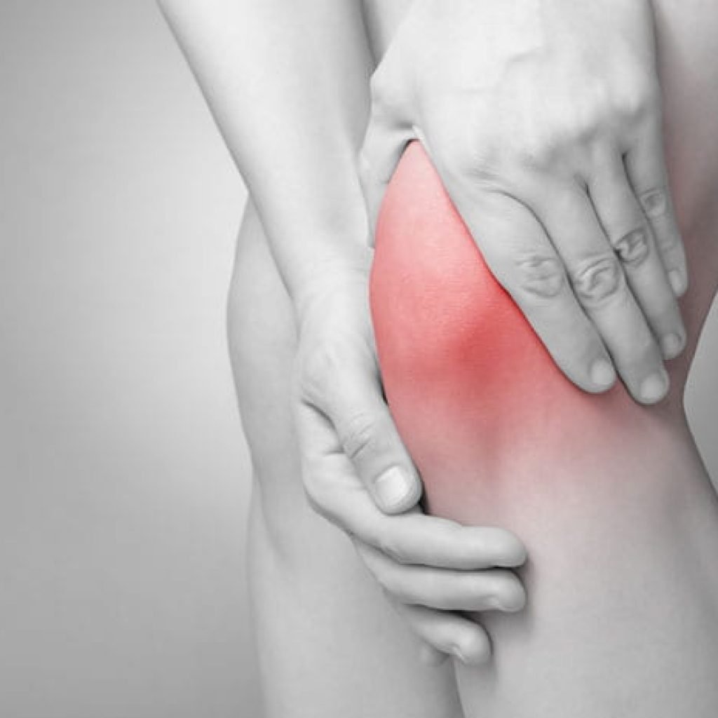 Especialista en rodilla