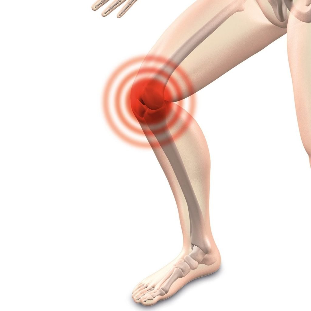 especialista en rodilla