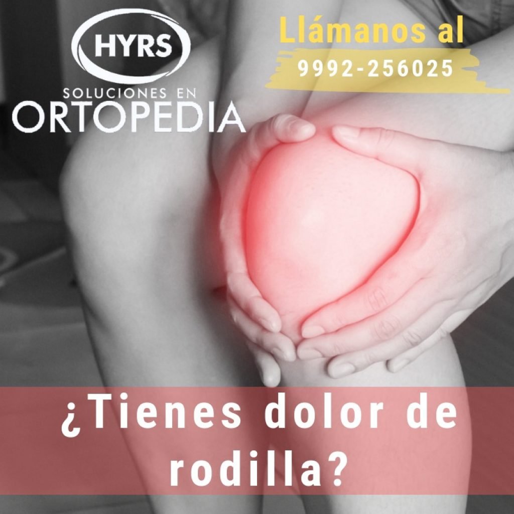 especialista en rodilla