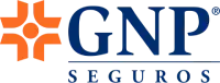 GNP